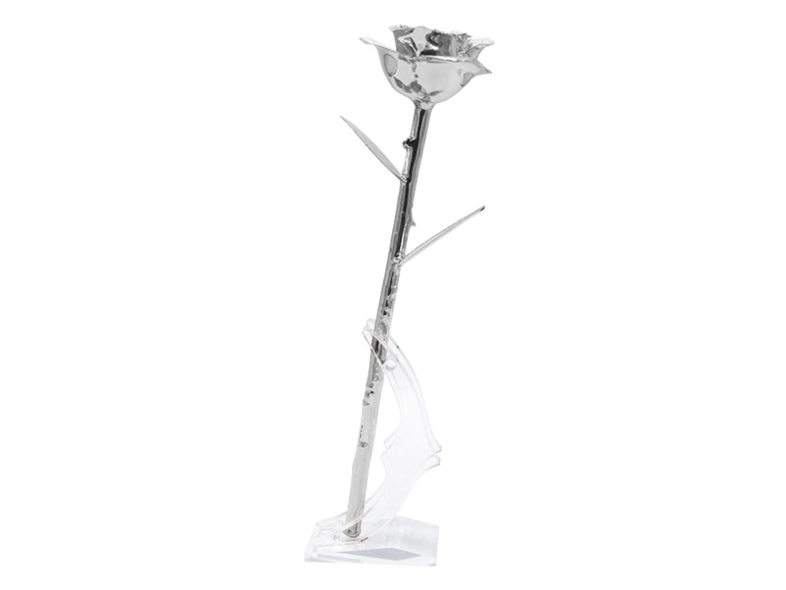 Platina Rose Aphroditeproduct image #4