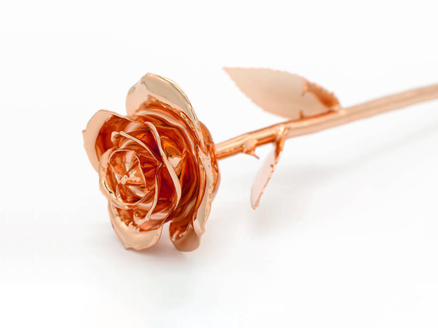 Rosegull Rose Aphroditeproduct image #4