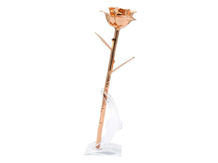 Rosegull Rose Aphroditeproduct image #5