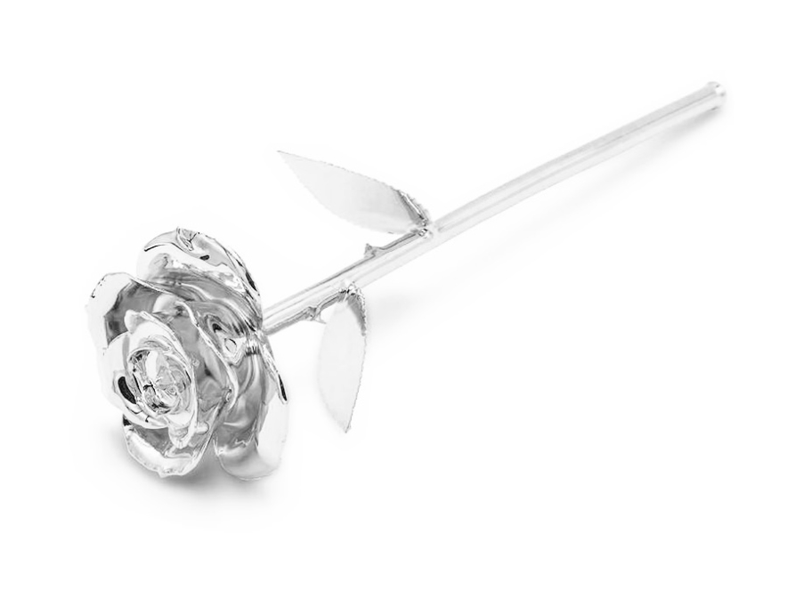 Sølv Rose Aphroditeproduct image #1