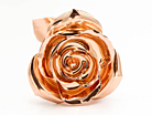 Rosegull Rose Aphroditeproduct thumbnail #3