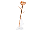 Rosegull Rose Aphroditeproduct thumbnail #5